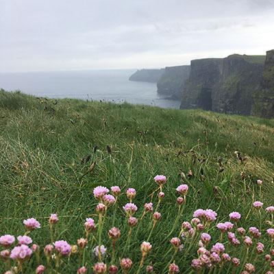 夏天的计划